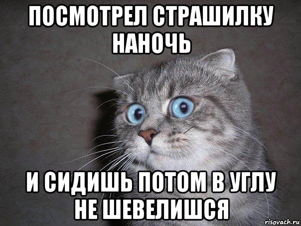 посмотрел страшилку наночь и сидишь потом в углу не шевелишся, Мем  удивлённый кот