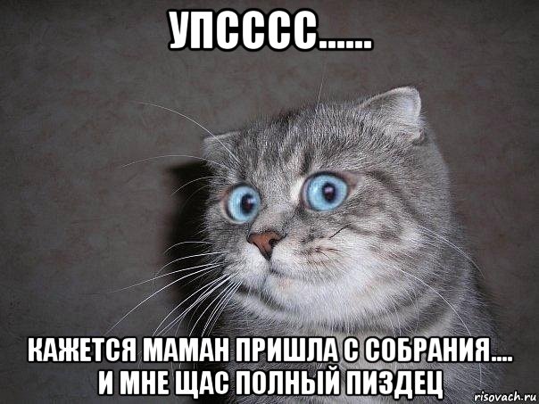 упсссс...... кажется маман пришла с собрания.... и мне щас полный пиздец, Мем  удивлённый кот