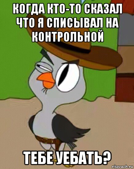 когда кто-то сказал что я списывал на контрольной тебе уебать?, Мем    Упоротая сова