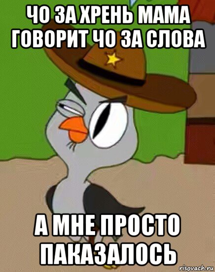 чо за хрень мама говорит чо за слова а мне просто паказалось, Мем    Упоротая сова