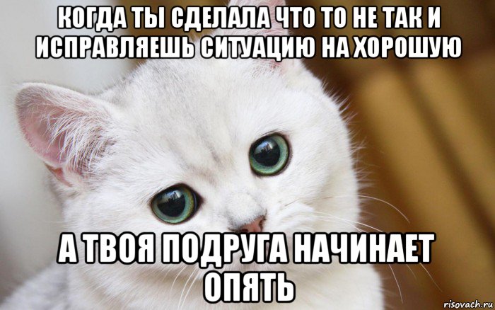 когда ты сделала что то не так и исправляешь ситуацию на хорошую а твоя подруга начинает опять, Мем  В мире грустит один котик