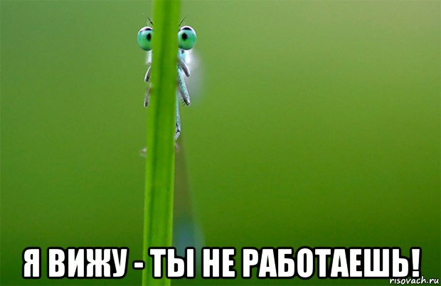 Я тебя не вижу