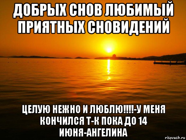 Закончились т. Добрых снов целую нежно. Люблю целую добрых снов. Приятных снов целую.