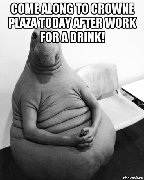 come along to crowne plaza today after work for a drink! , Мем  Ждун