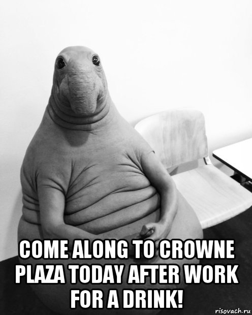  come along to crowne plaza today after work for a drink!, Мем  Ждун