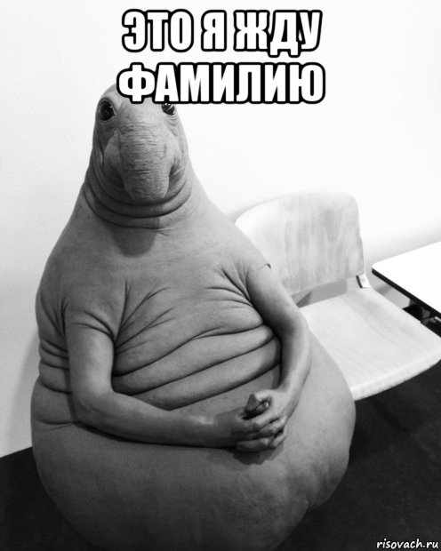 это я жду фамилию , Мем  Ждун