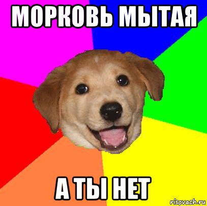 морковь мытая а ты нет, Мем Advice Dog