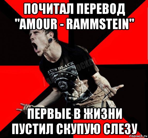 Est ton amour перевод. Амур Амур рамштайн. Рамштайн amour. Amour перевод. Amour Rammstein клип.