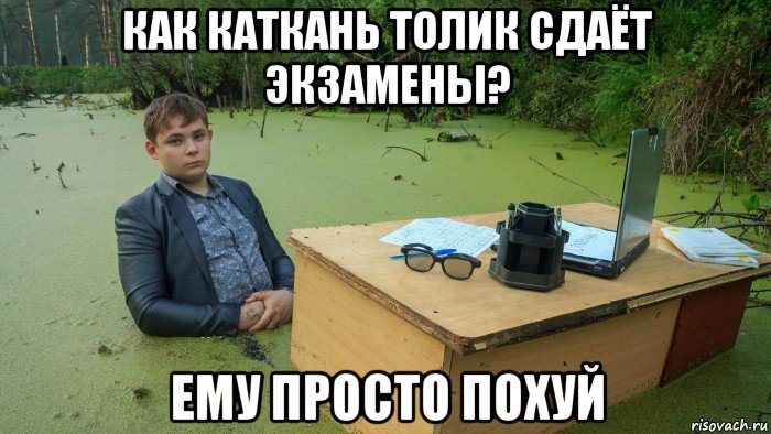 как каткань толик сдаёт экзамены? ему просто похуй, Мем  Парень сидит в болоте