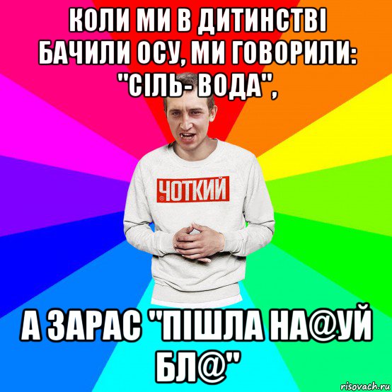 коли ми в дитинстві бачили осу, ми говорили: "сіль- вода", а зарас "пішла на@уй бл@", Мем Чоткий