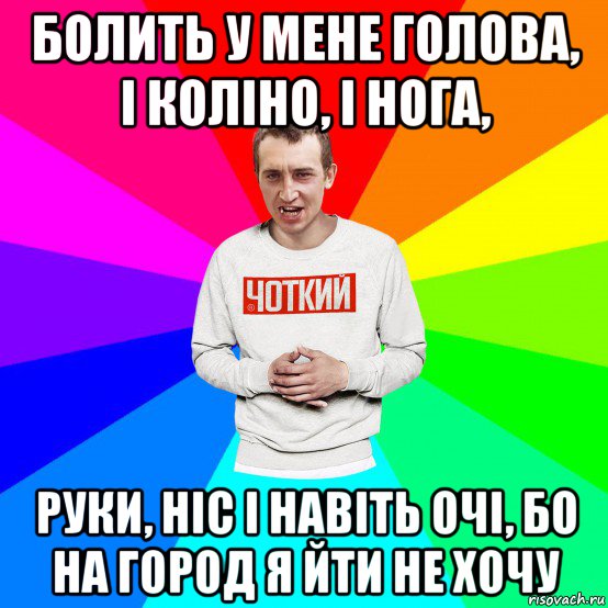 болить у мене голова, і коліно, і нога, руки, ніс і навіть очі, бо на город я йти не хочу, Мем Чоткий