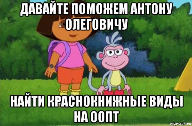 давайте поможем антону олеговичу найти краснокнижные виды на оопт, Мем Даша-следопыт