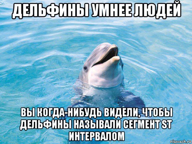 дельфины умнее людей вы когда-нибудь видели, чтобы дельфины называли сегмент st интервалом