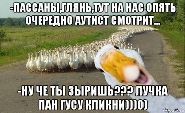 -пассаны,глянь,тут на нас опять очередно аутист смотрит... -ну че ты зыришь??? лучка пан гусу кликни)))0), Мем гуси