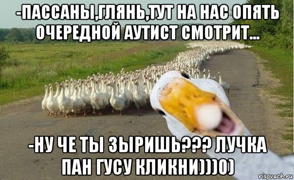 -пассаны,глянь,тут на нас опять очередной аутист смотрит... -ну че ты зыришь??? лучка пан гусу кликни)))0)