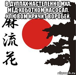 в дуплах настеленно мха, мёд хоботком насосал. клювом кричит воробей. , Мем Хокку