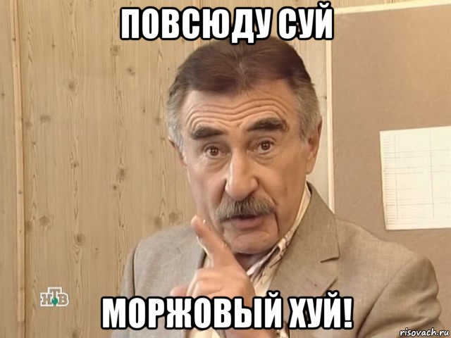 повсюду суй моржовый хуй!, Мем Каневский (Но это уже совсем другая история)