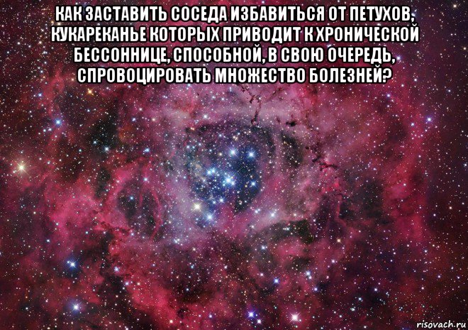 как заставить соседа избавиться от петухов, кукареканье которых приводит к хронической бессоннице, способной, в свою очередь, спровоцировать множество болезней? , Мем Ты просто космос