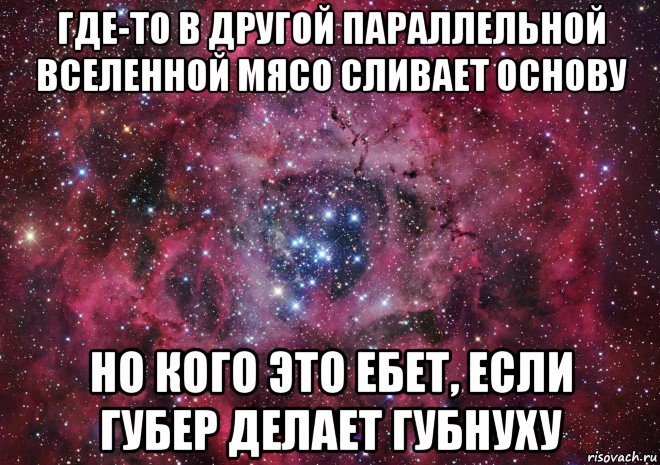 где-то в другой параллельной вселенной мясо сливает основу но кого это ебет, если губер делает губнуху, Мем Ты просто космос