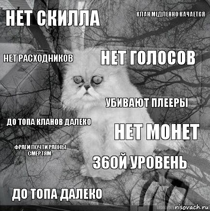 НЕТ СКИЛЛА нет монет нет голосов до топа далеко до топа кланов далеко клан медленно качается 36ой уровень нет расходников фраги почти равны смертям убивают плееры, Комикс  кот безысходность