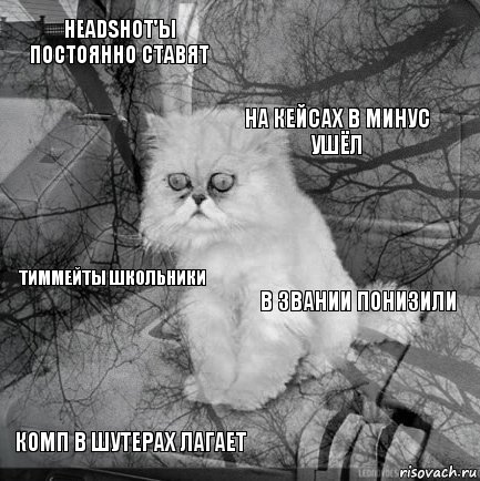 Headshot'ы постоянно ставят В звании понизили На кейсах в минус ушёл Комп в шутерах лагает Тиммейты школьники     , Комикс  кот безысходность