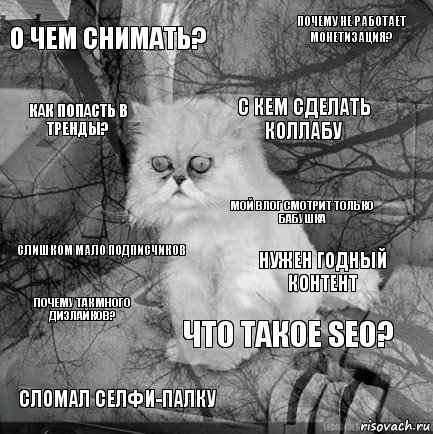 о чем снимать? нужен годный контент с кем сделать коллабу сломал селфи-палку слишком мало подписчиков почему не работает монетизация? что такое SEO? как попасть в тренды? почему так много дизлайков? мой влог смотрит только бабушка, Комикс  кот безысходность