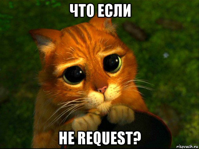 что если не request?, Мем кот из шрека