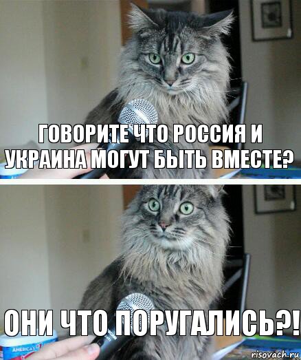 Говорите что Россия И Украина могут быть вместе? Они что поругались?!, Комикс  кот с микрофоном