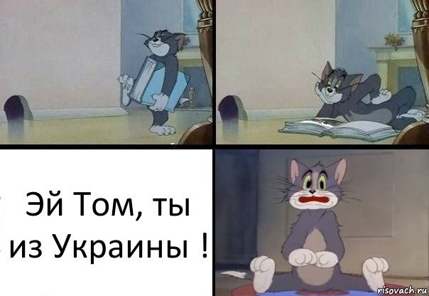Эй Том, ты из Украины !, Комикс  Кот Том в шоке