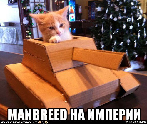  manbreed на империи, Мем Котэ танкист