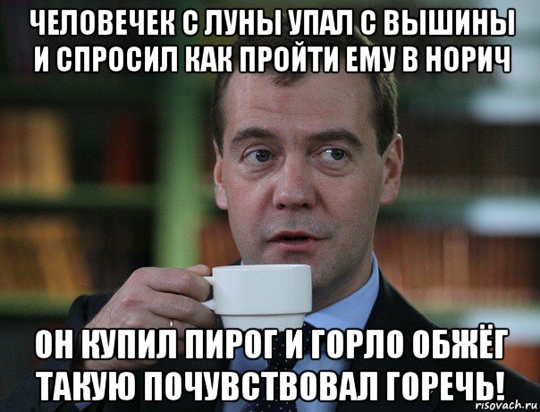 человечек с луны упал с вышины и спросил как пройти ему в норич он купил пирог и горло обжёг такую почувствовал горечь!, Мем Медведев спок бро