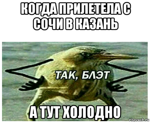 Картина так блэт