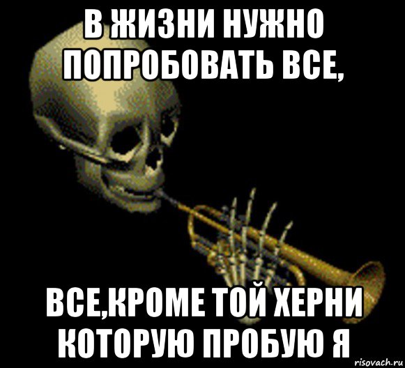 в жизни нужно попробовать все, все,кроме той херни которую пробую я, Мем Мистер дудец