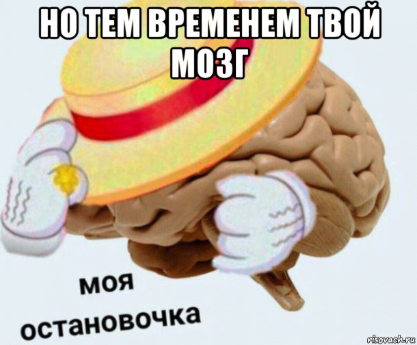 но тем временем твой мозг , Мем   Моя остановочка мозг