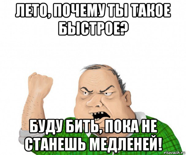 лето, почему ты такое быстрое? буду бить, пока не станешь медленей!, Мем мужик