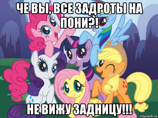 че вы, все задроты на пони?! не вижу задницу!!!, Мем My little pony