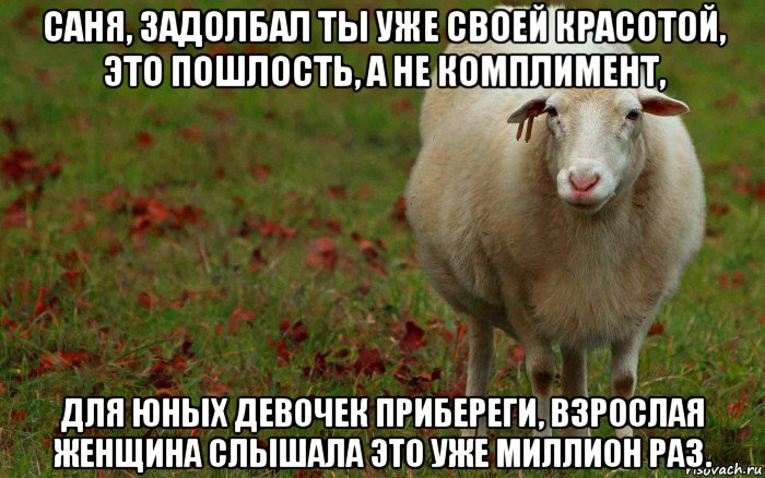 саня, задолбал ты уже своей красотой, это пошлость, а не комплимент, для юных девочек прибереги, взрослая женщина слышала это уже миллион раз., Мем  наивная овца