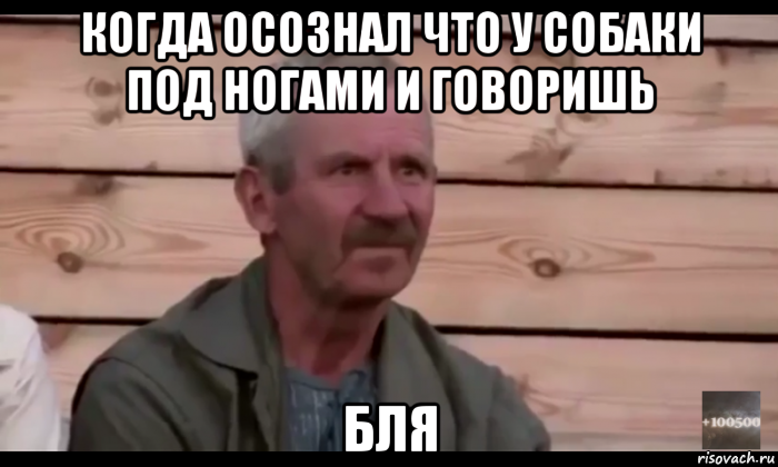 когда осознал что у собаки под ногами и говоришь бля, Мем  Охуевающий дед