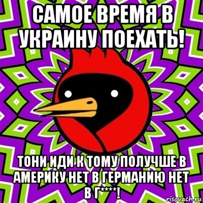 самое время в украину поехать! тони иди к тому получше в америку нет в германию нет в г****!, Мем Омская птица