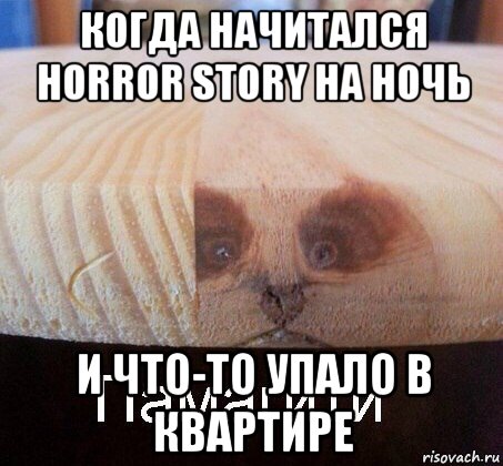 когда начитался horror story на ночь и что-то упало в квартире