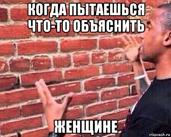 когда пытаешься что-то объяснить женщине, Мем разговор со стеной