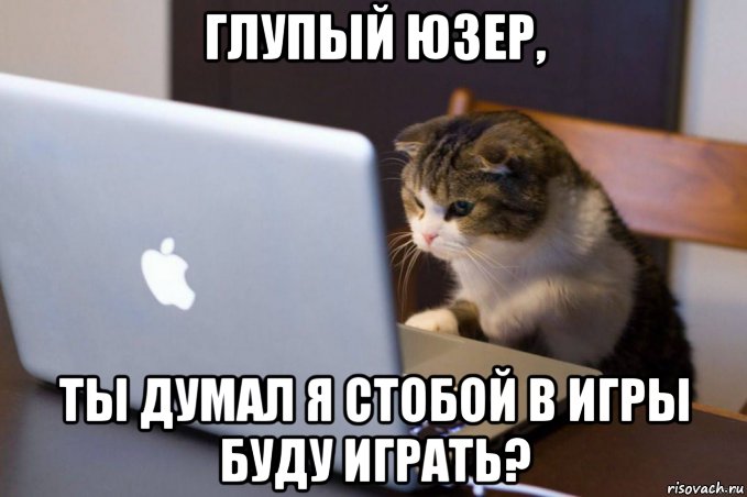Юзер это кто