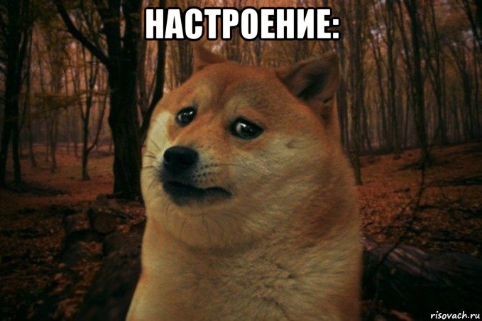 настроение: , Мем SAD DOGE