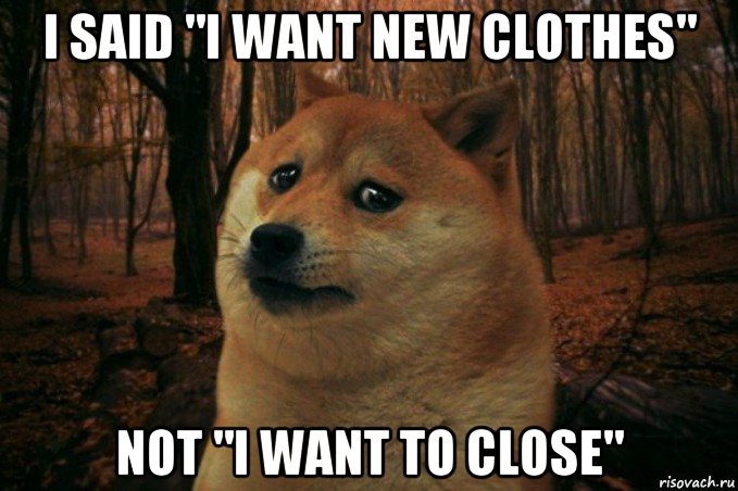 i said "i want new clothes" not "i want to close", Мем SAD DOGE