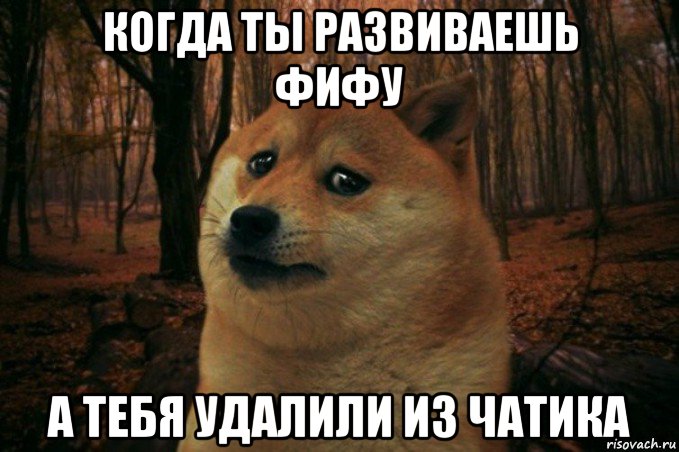 когда ты развиваешь фифу а тебя удалили из чатика, Мем SAD DOGE