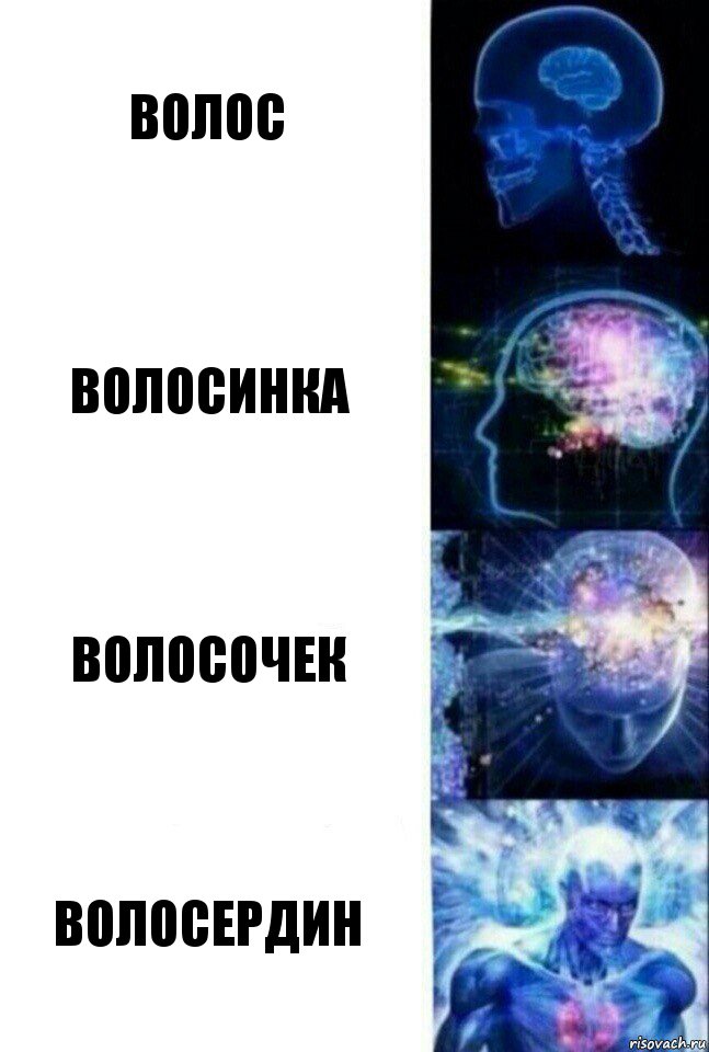 Волос Волосинка Волосочек Волосердин, Комикс  Сверхразум