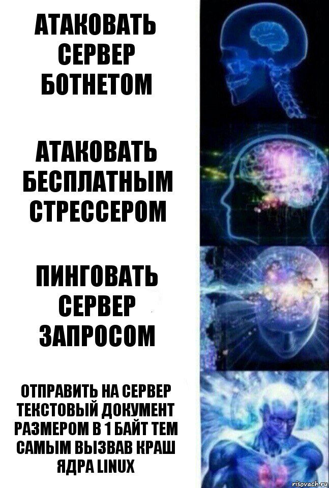 Атаковать сервер ботнетом Атаковать бесплатным стрессером Пинговать сервер запросом Отправить на сервер текстовый документ размером в 1 байт тем самым вызвав краш ядра Linux, Комикс  Сверхразум