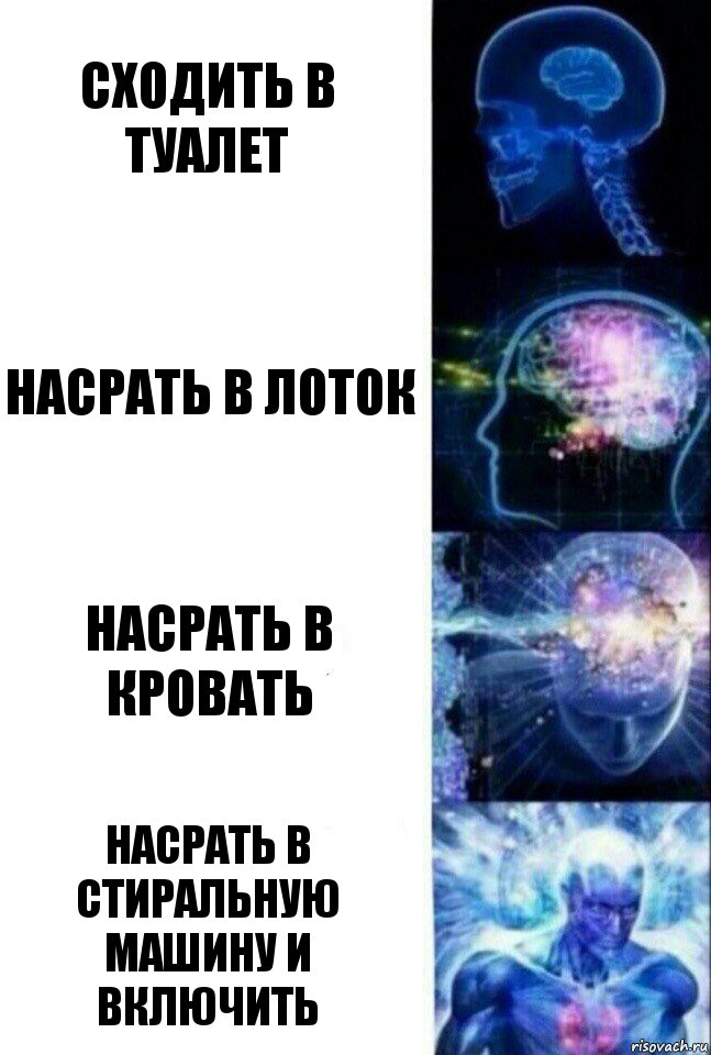 Сходить в туалет Насрать в лоток Насрать в кровать Насрать в стиральную машину и включить, Комикс  Сверхразум