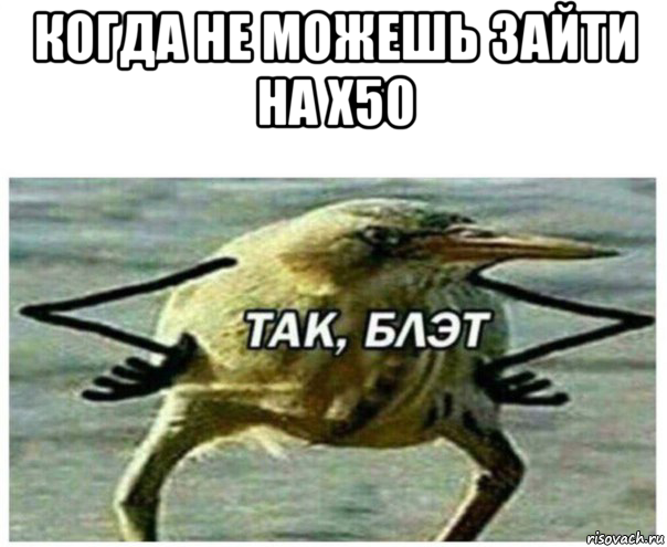 когда не можешь зайти на х50 