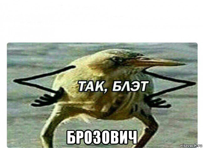  брозович, Мем Так Блэт